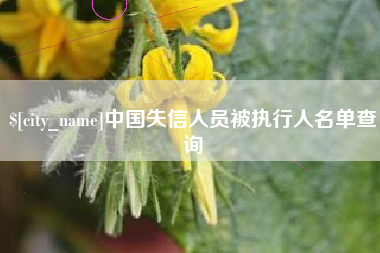 永安中国失信人员被执行人名单查询