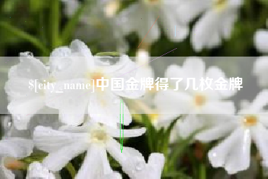 永安中国金牌得了几枚金牌