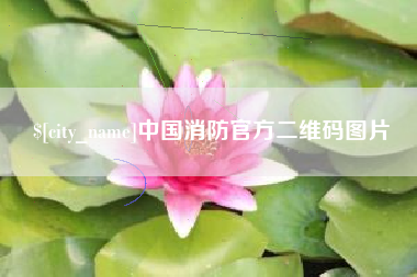 永安中国消防官方二维码图片