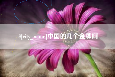 永安中国的几个金牌啊