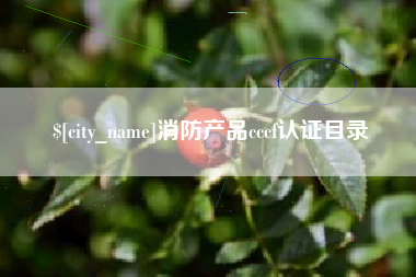 永安消防产品cccf认证目录