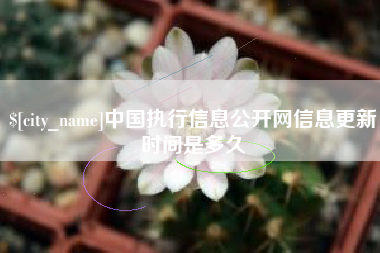 永安中国执行信息公开网信息更新时间是多久