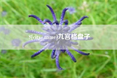 永安九宫格盘子