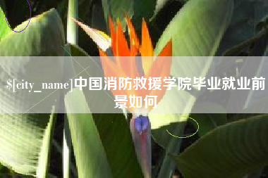 永安中国消防救援学院毕业就业前景如何
