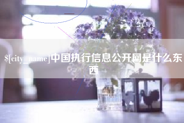 永安中国执行信息公开网是什么东西