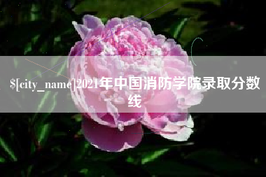 永安2021年中国消防学院录取分数线