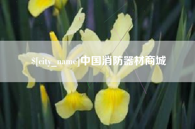 永安中国消防器材商城