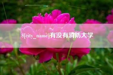 永安有没有消防大学