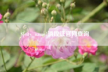 永安消控证官网查询