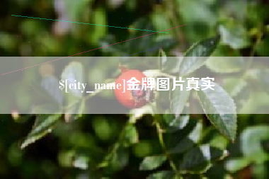 永安金牌图片真实