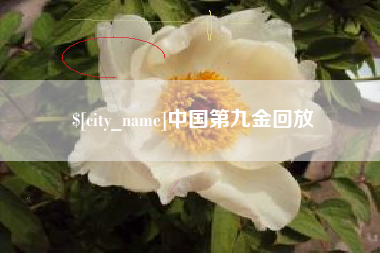 永安中国第九金回放