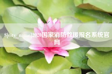 永安2020国家消防救援报名系统官网