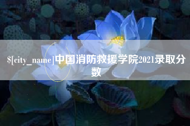 永安中国消防救援学院2021录取分数