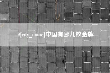 永安中国有哪几枚金牌