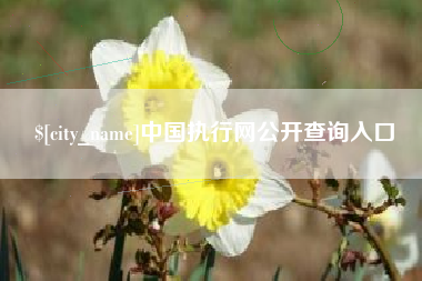 永安中国执行网公开查询入口