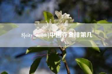 永安中国夺金排第几