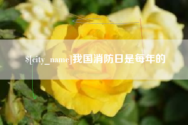 永安我国消防日是每年的