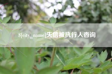 永安失信被执行人杳询