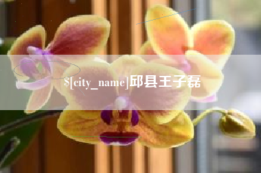 永安邱县王子磊