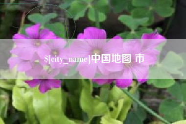 永安中国地图 市