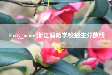 永安浙江消防学校招生分数线