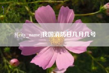 永安我国消防日几月几号
