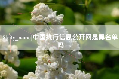 永安中国执行信息公开网是黑名单吗