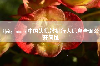 永安中国失信被执行人信息查询公开网址