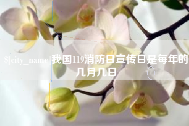 永安我国119消防日宣传日是每年的几月几日
