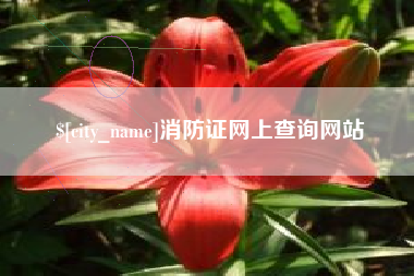 永安消防证网上查询网站