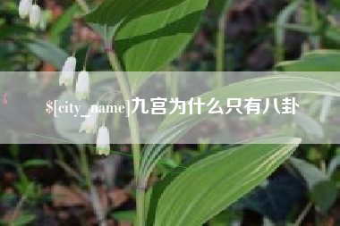 永安九宫为什么只有八卦