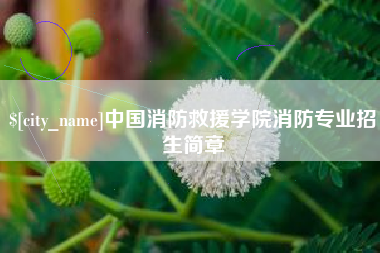 永安中国消防救援学院消防专业招生简章