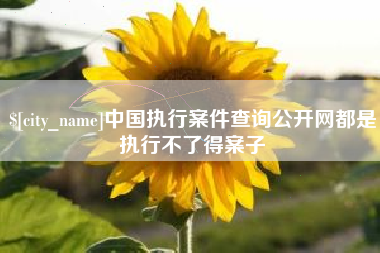 永安中国执行案件查询公开网都是执行不了得案子