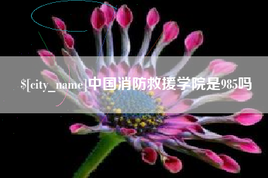 永安中国消防救援学院是985吗