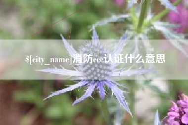 永安消防ccc认证什么意思