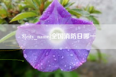 永安全国消防日哪一