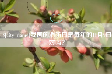 永安我国的消防日是每年的11月9日对吗？
