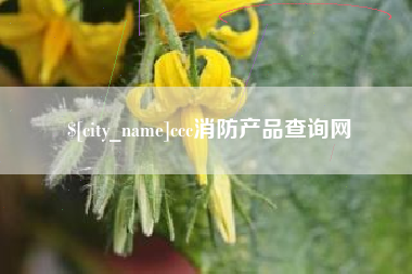 永安ccc消防产品查询网