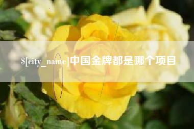 永安中国金牌都是哪个项目