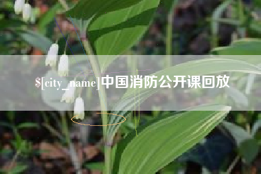永安中国消防公开课回放