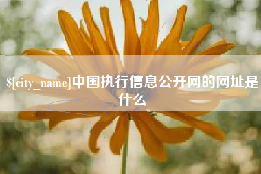 永安中国执行信息公开网的网址是什么