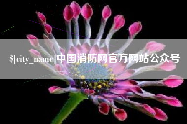 永安中国消防网官方网站公众号
