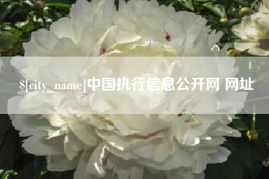 永安中国执行信息公开网 网址