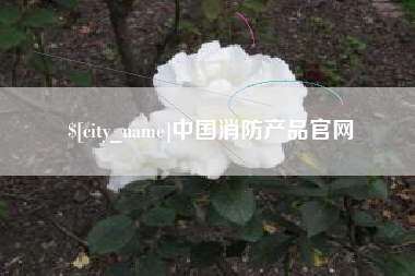 永安中国消防产品官网