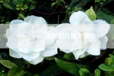永安中国的几块金牌2021