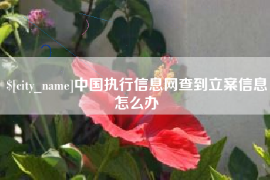 永安中国执行信息网查到立案信息怎么办
