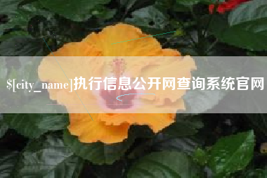 永安执行信息公开网查询系统官网