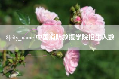 永安中国消防救援学院招生人数