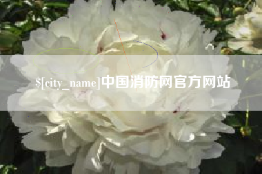 永安中国消防网官方网站