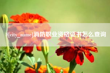 永安消防职业资格证书怎么查询